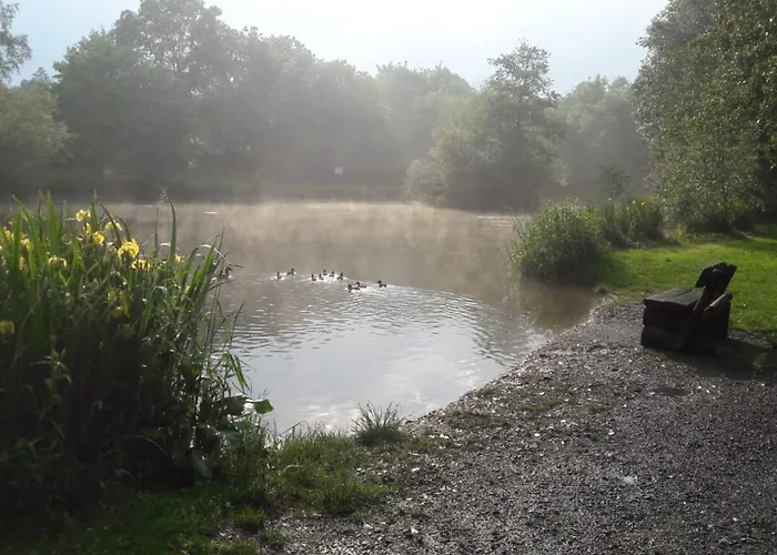 Weddeloase Lüks kamp alanı