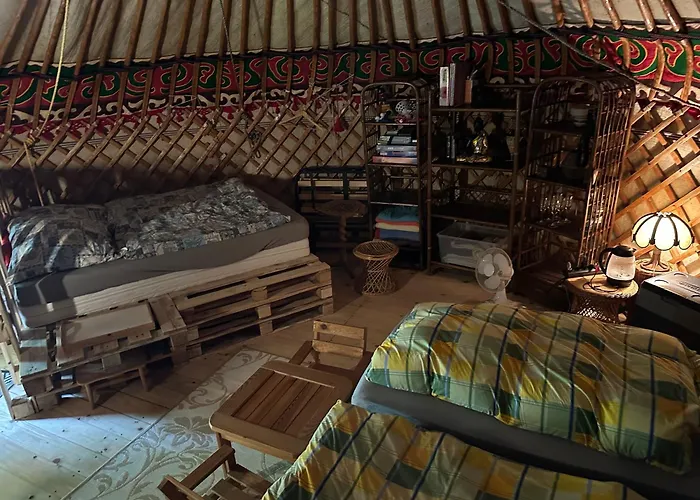 Weddeloase Lüks kamp alanı *